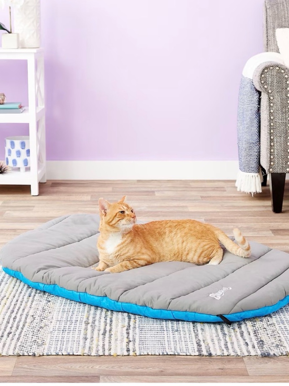 ChuckIt Travel Pet Bed - Unused - DISC SHIPPING - Picture 2 of 9